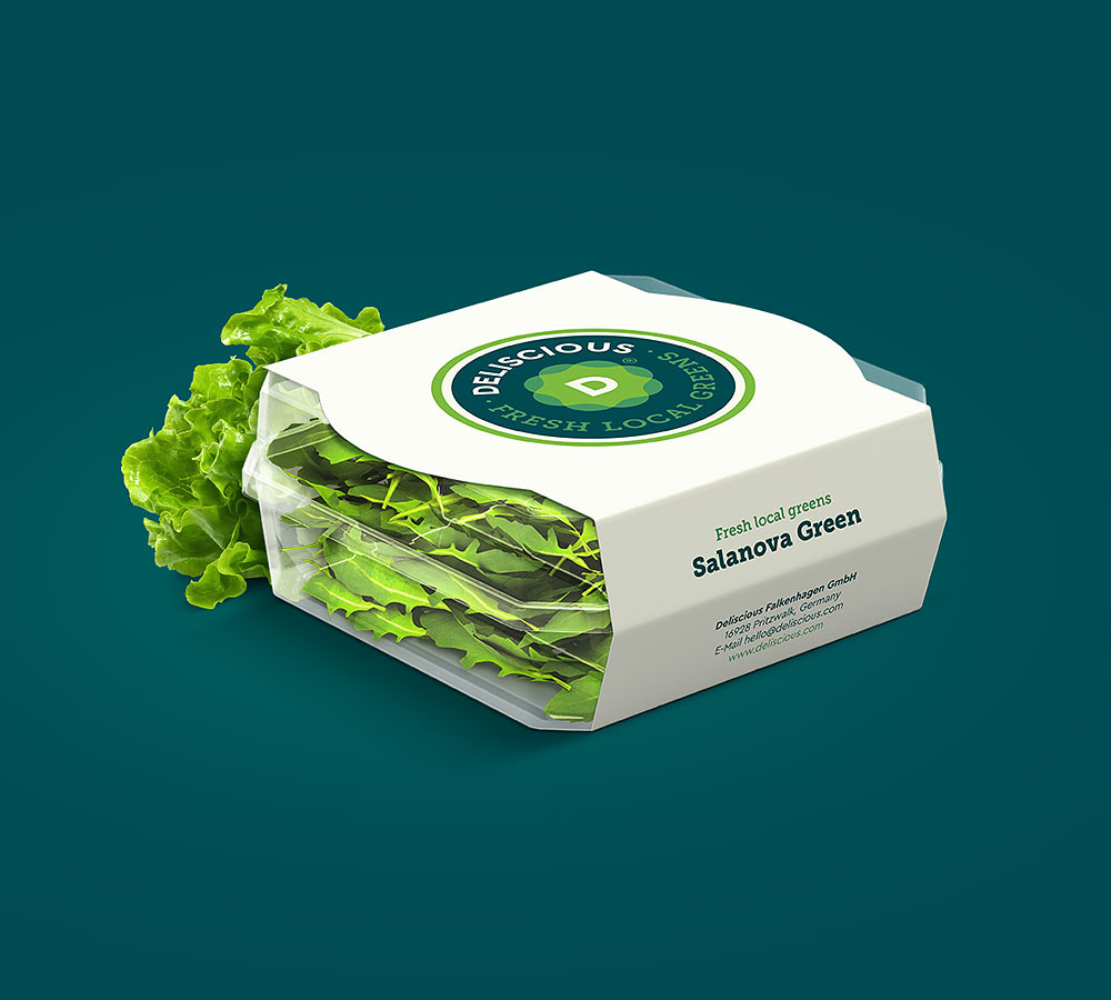 Deliscious Verpackungsdesign